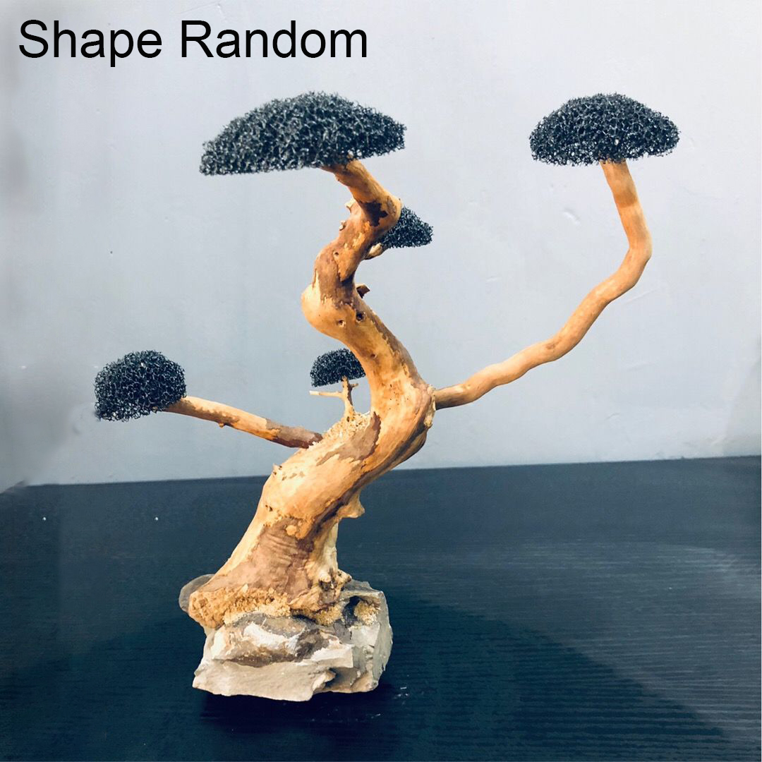 水槽装飾モス流木 魚タンク造園 水草モス木の幹 DIY (水 - Aquarium Plant Root Tabs のレビューと価格