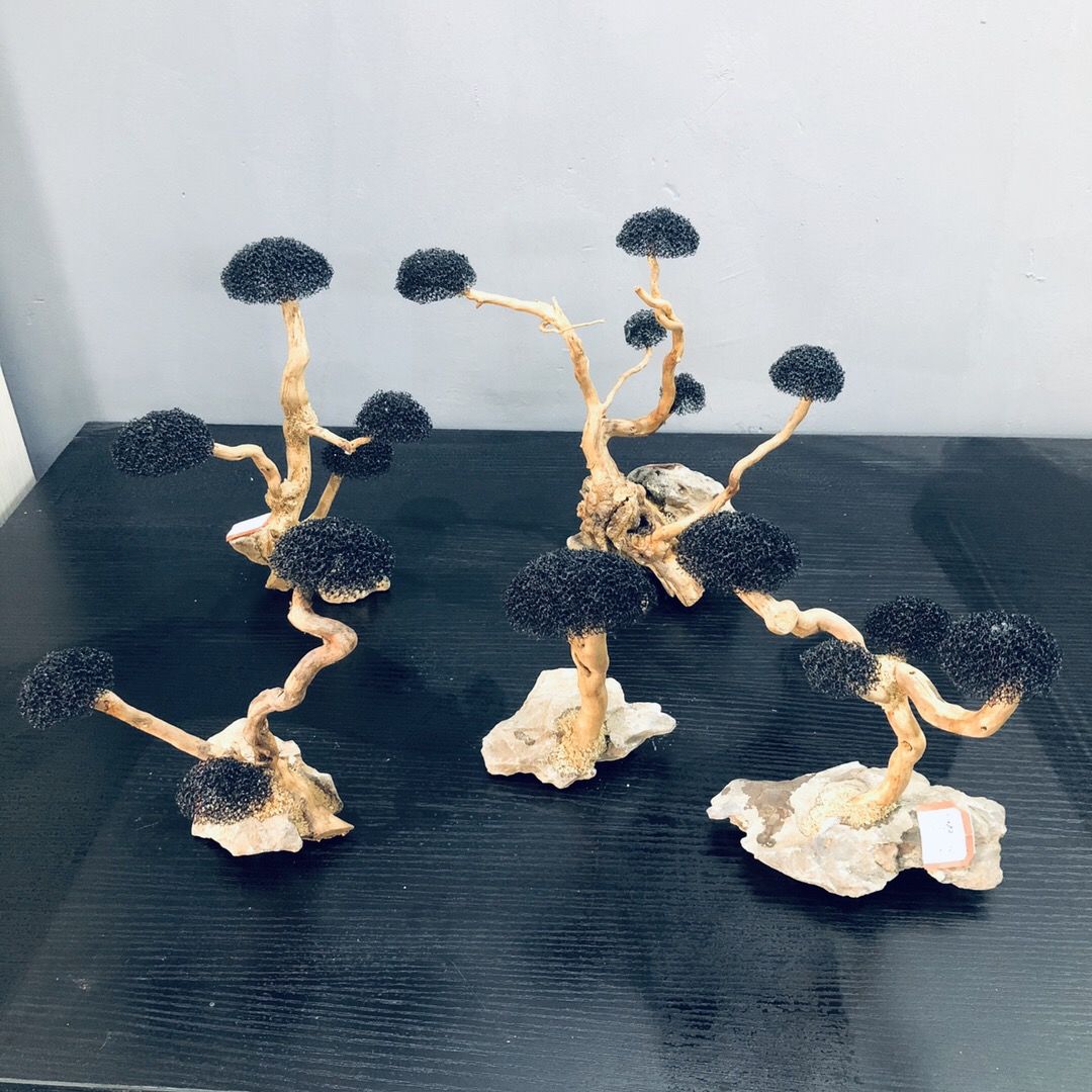 水槽装飾モス流木 魚タンク造園 水草モス木の幹 DIY (水 - Aquarium Plant Root Tabs のレビューと価格