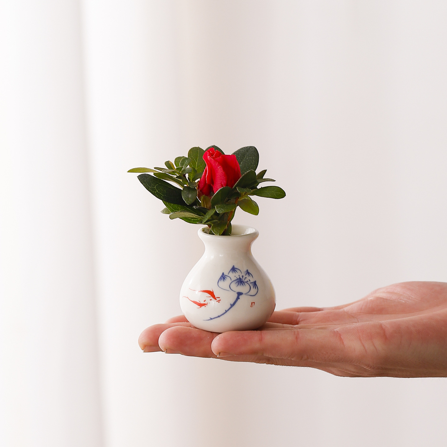 レトロセラミック花瓶、小さなドライフラワー用花瓶、リビングル - Tissue Culture Plant のレビューと価格