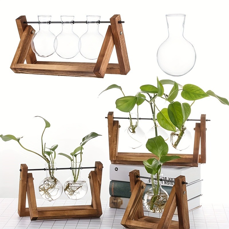卓上ガラスプランター繁殖ステーション、植物用木製ラックテラリ - Tissue Culture Plant のレビューと価格