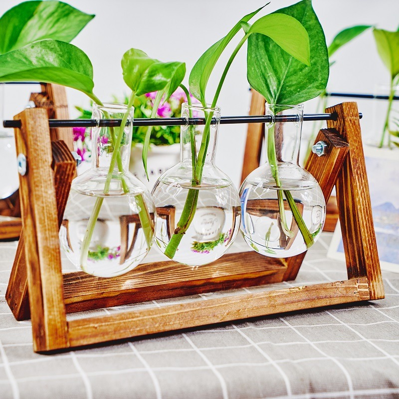 卓上ガラスプランター繁殖ステーション、植物用木製ラックテラリ - Tissue Culture Plant のレビューと価格