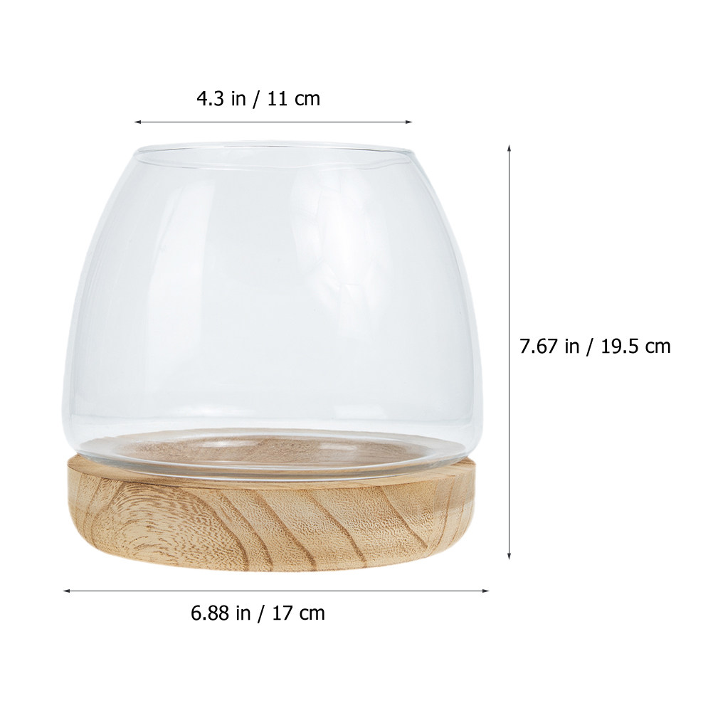 1個入り 透明ガラス製 水耕栽培用テラリウム 木製スタンド付 - Aquarium Planted Aquarium のレビューと価格