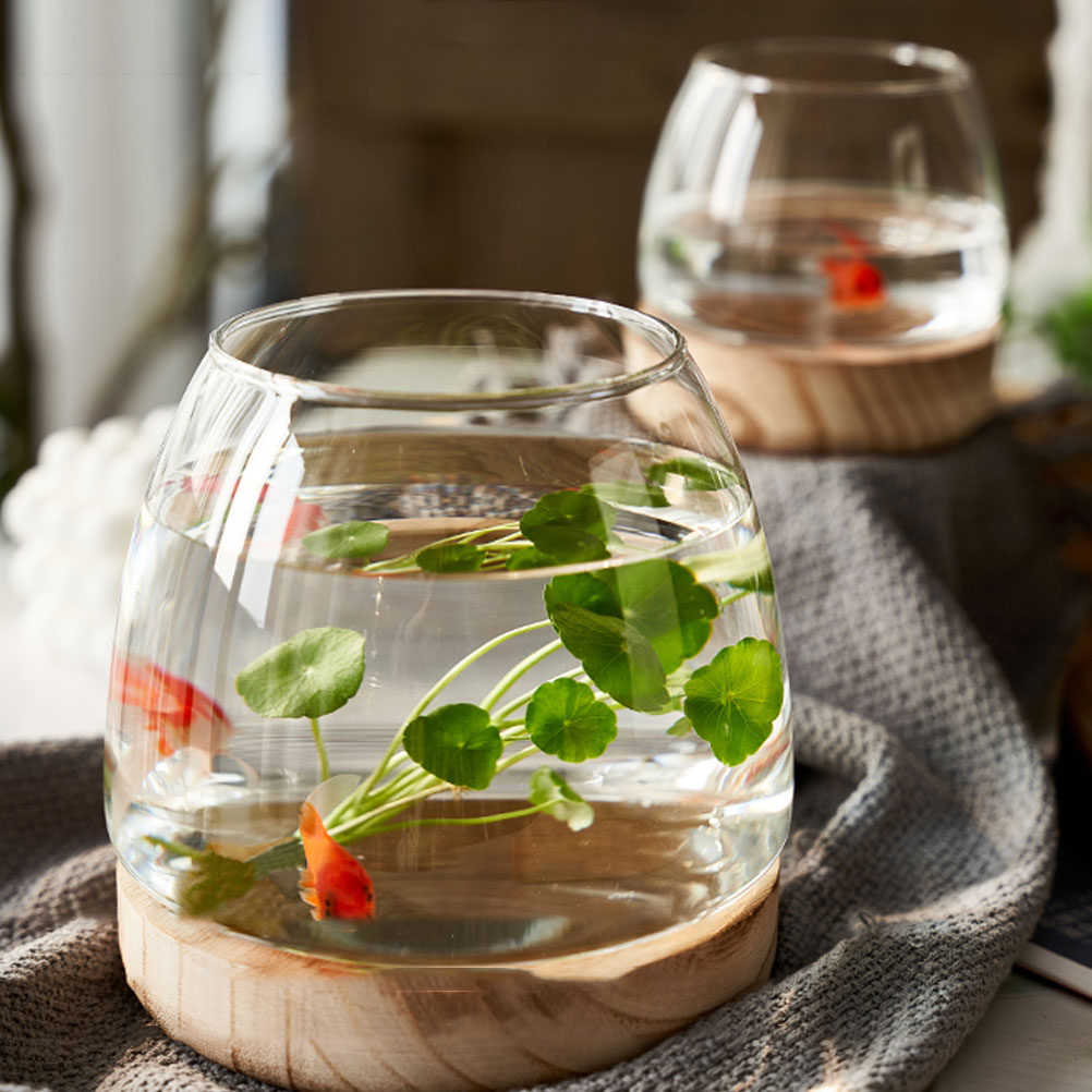 1個入り 透明ガラス製 水耕栽培用テラリウム 木製スタンド付 - Aquarium Planted Aquarium のレビューと価格