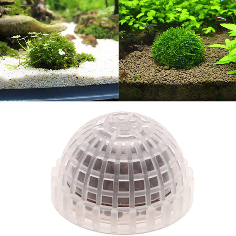 【B】水生ペット用品、水槽用装飾品、水槽用モスボール、生きた - Planted Aquarium Moss のレビューと価格
